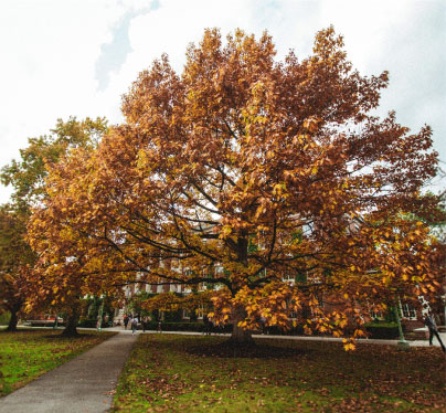 University of Rochester campus