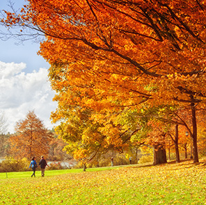 Autumn foliage on the Wellesley College campus.