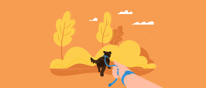 5-reasons-workplace-walking-program