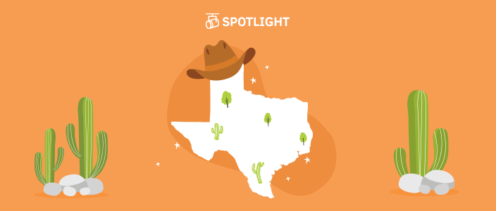 graphic of the state of Texas